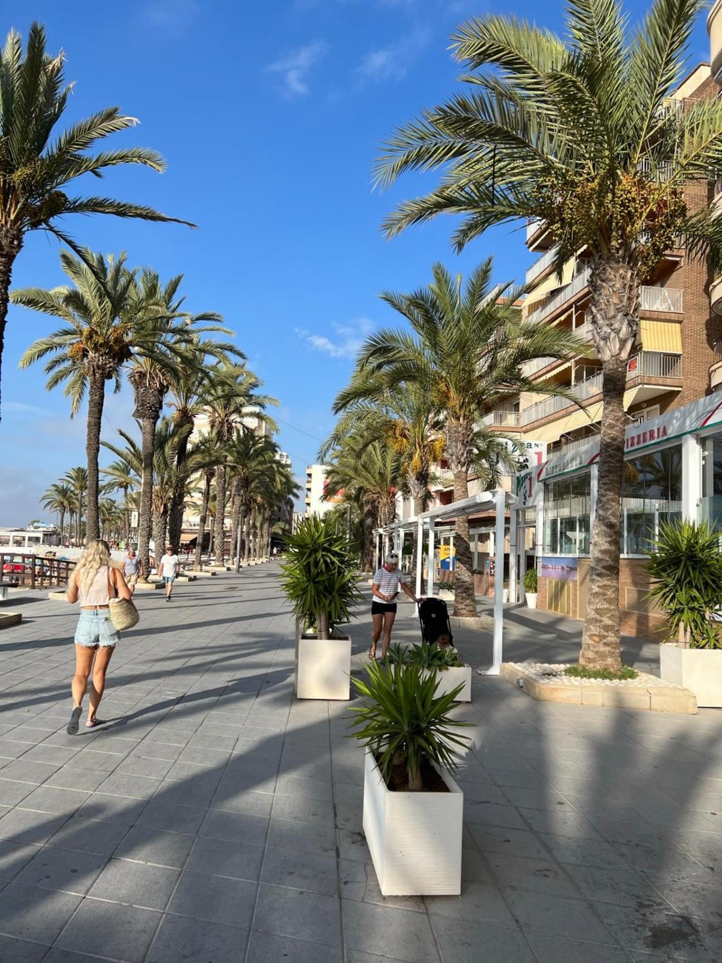 Beautiful Apartment Playa Del Cura Beach In Torrevieja Spain Εξωτερικό φωτογραφία